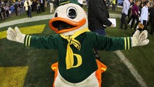 Big Green Ducks's avatar